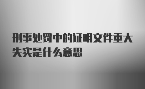 刑事处罚中的证明文件重大失实是什么意思