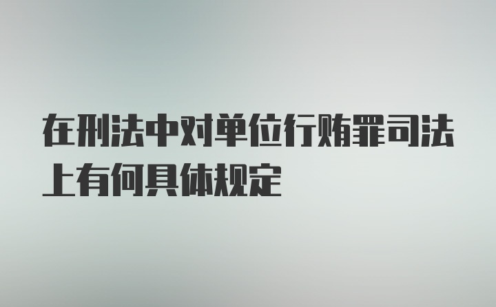 在刑法中对单位行贿罪司法上有何具体规定