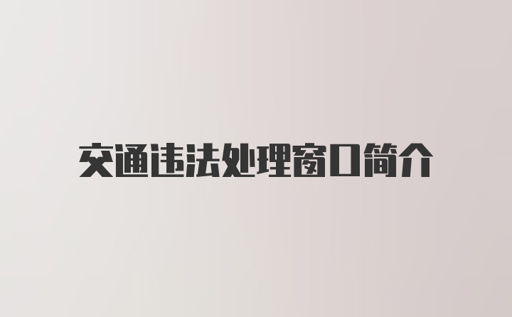 交通违法处理窗口简介