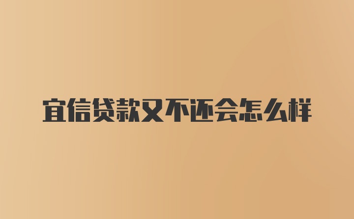 宜信贷款又不还会怎么样