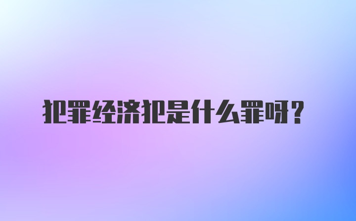 犯罪经济犯是什么罪呀?