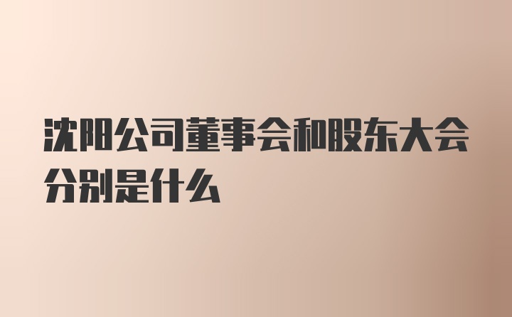 沈阳公司董事会和股东大会分别是什么