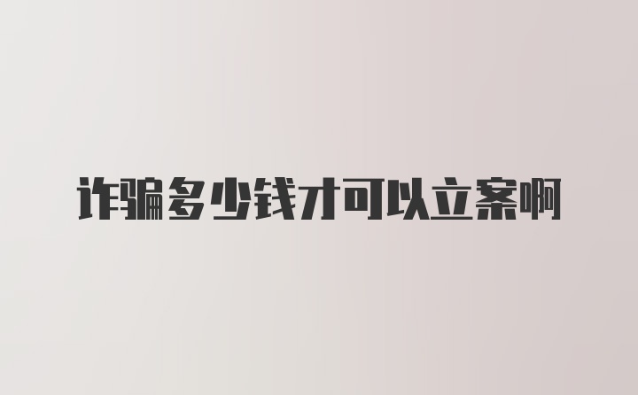 诈骗多少钱才可以立案啊