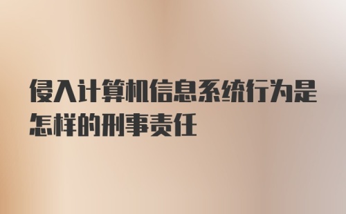 侵入计算机信息系统行为是怎样的刑事责任