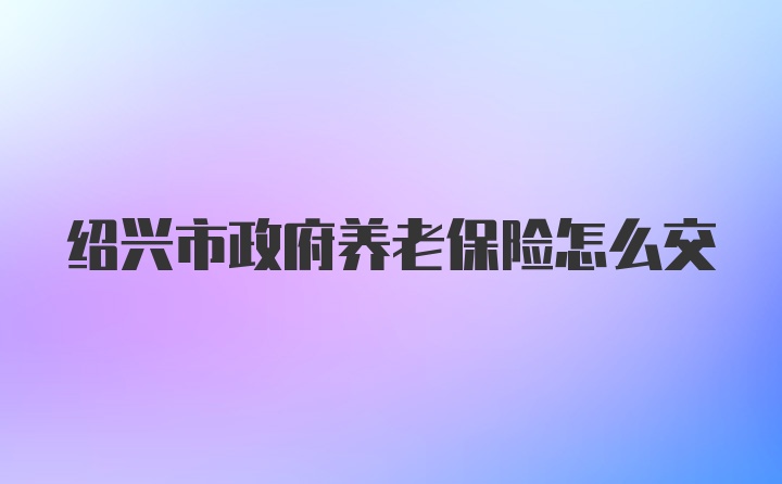 绍兴市政府养老保险怎么交