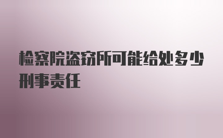 检察院盗窃所可能给处多少刑事责任