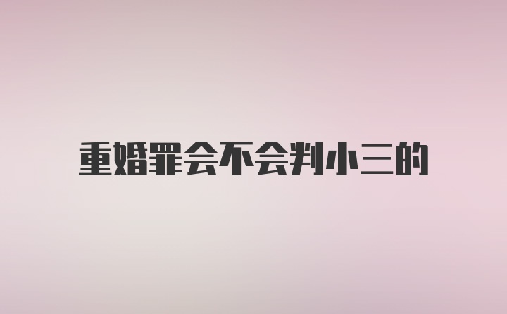 重婚罪会不会判小三的