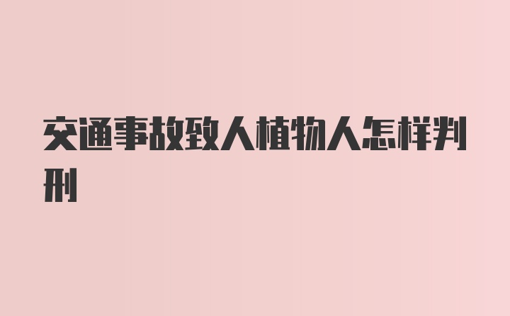 交通事故致人植物人怎样判刑