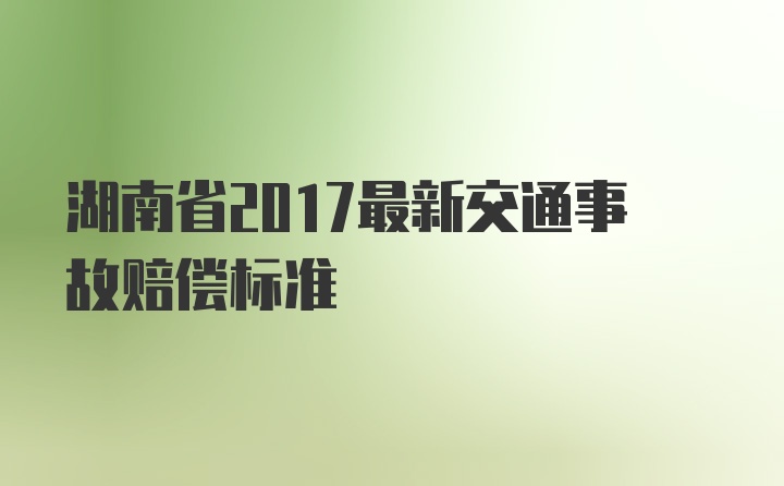 湖南省2017最新交通事故赔偿标准