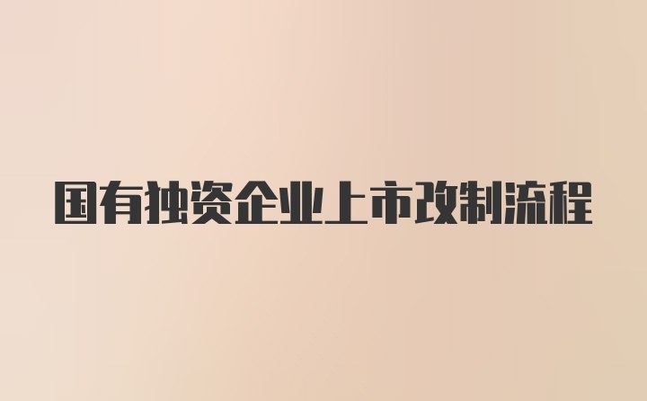 国有独资企业上市改制流程