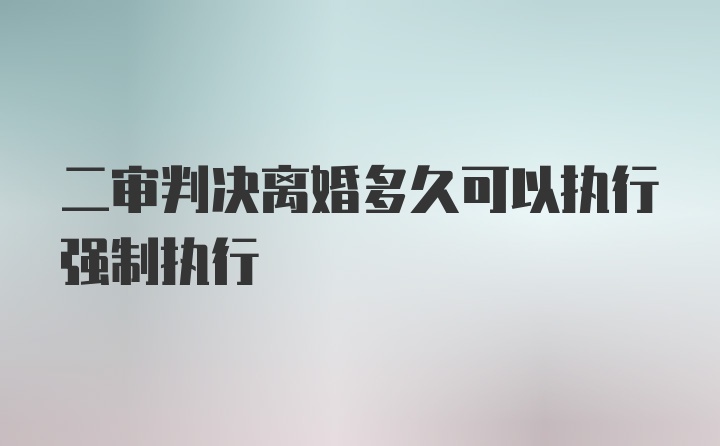 二审判决离婚多久可以执行强制执行