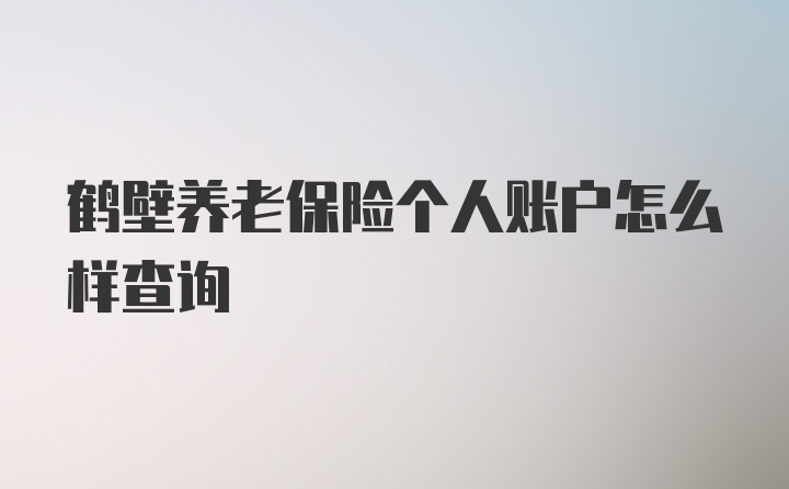 鹤壁养老保险个人账户怎么样查询