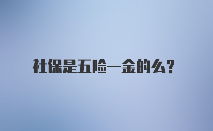 社保是五险一金的么？