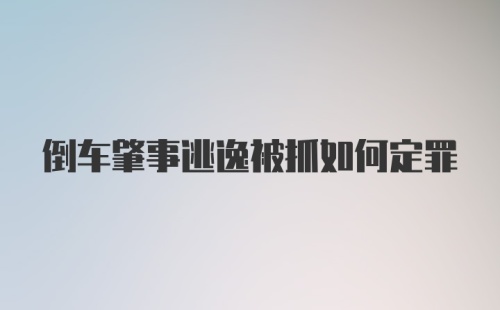 倒车肇事逃逸被抓如何定罪