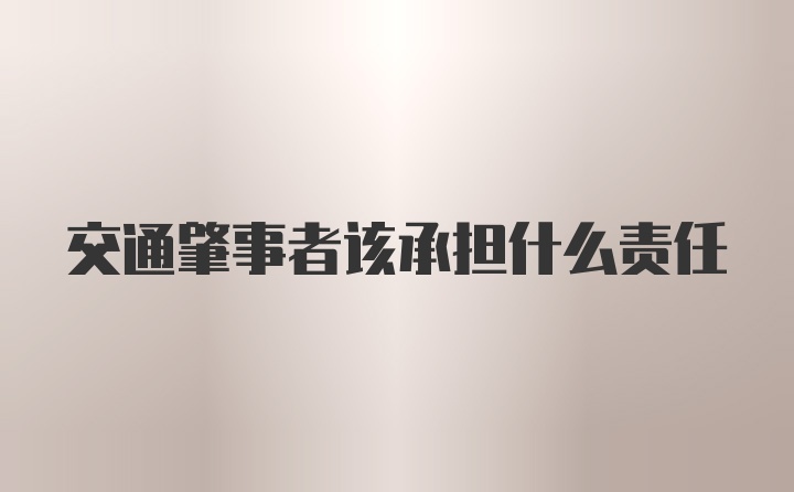 交通肇事者该承担什么责任