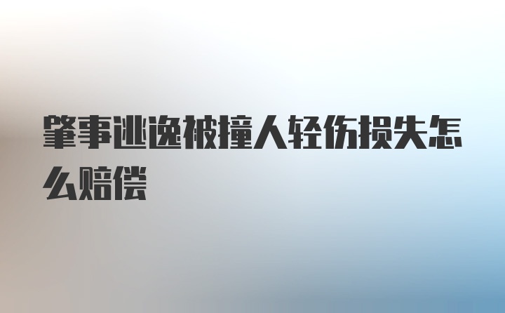 肇事逃逸被撞人轻伤损失怎么赔偿