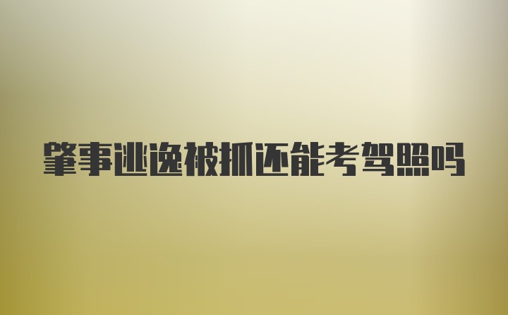 肇事逃逸被抓还能考驾照吗