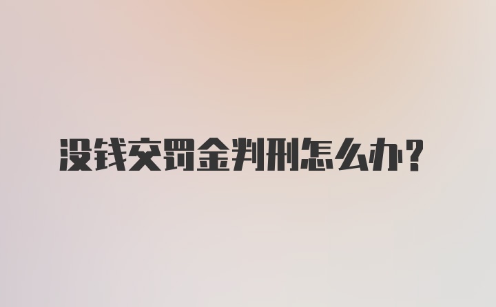 没钱交罚金判刑怎么办？