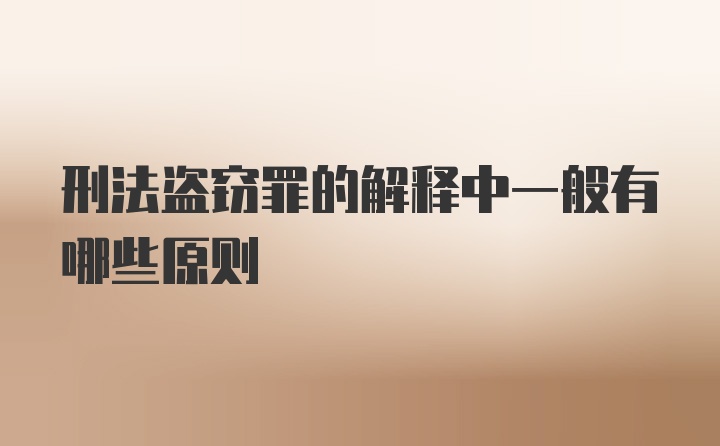 刑法盗窃罪的解释中一般有哪些原则