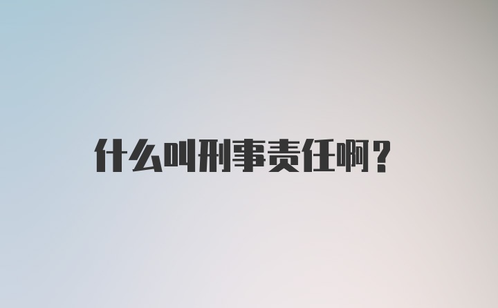 什么叫刑事责任啊？