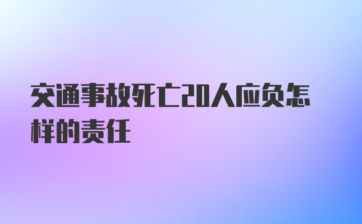 交通事故死亡20人应负怎样的责任