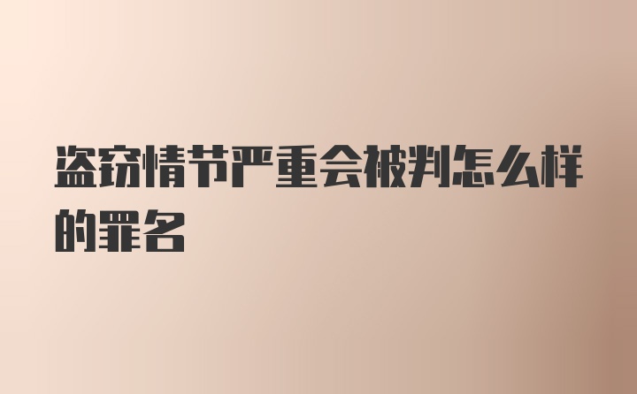 盗窃情节严重会被判怎么样的罪名