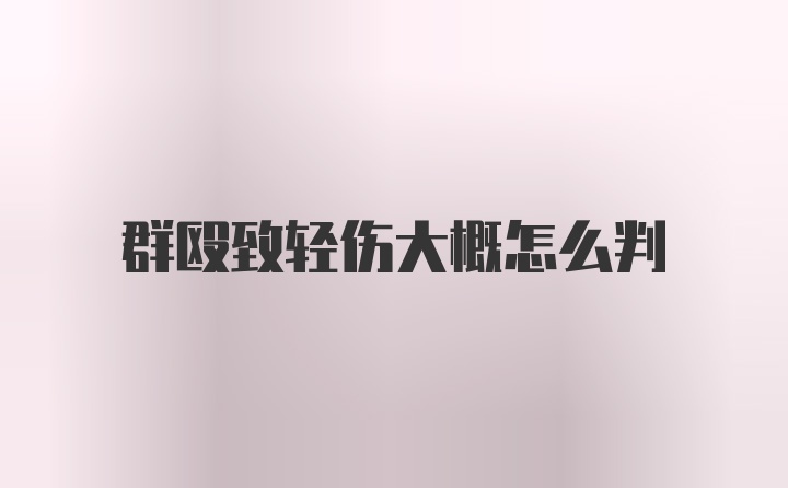 群殴致轻伤大概怎么判