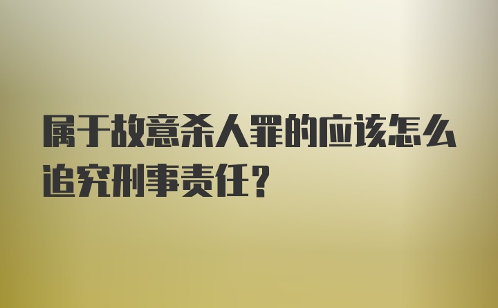 属于故意杀人罪的应该怎么追究刑事责任？