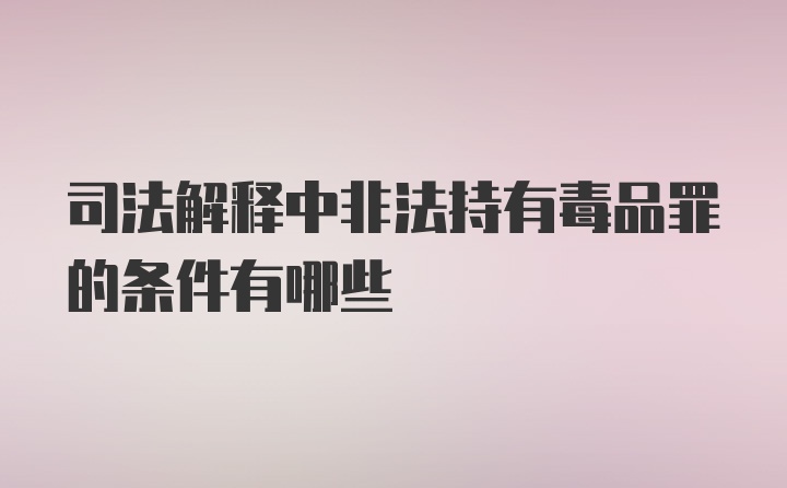 司法解释中非法持有毒品罪的条件有哪些