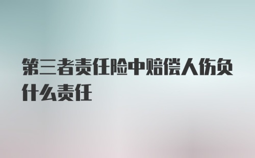 第三者责任险中赔偿人伤负什么责任