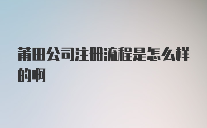 莆田公司注册流程是怎么样的啊