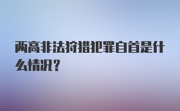 两高非法狩猎犯罪自首是什么情况？