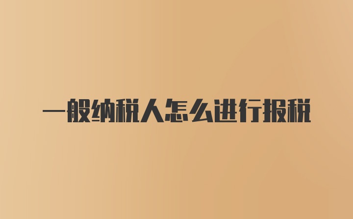 一般纳税人怎么进行报税