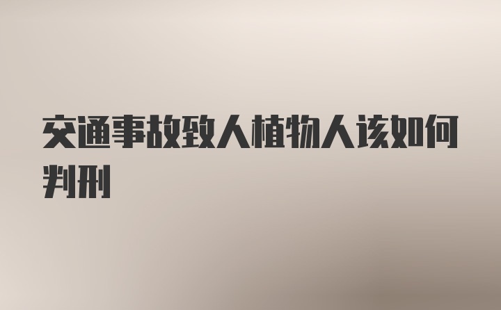 交通事故致人植物人该如何判刑