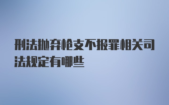 刑法抛弃枪支不报罪相关司法规定有哪些