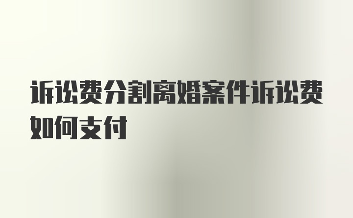 诉讼费分割离婚案件诉讼费如何支付