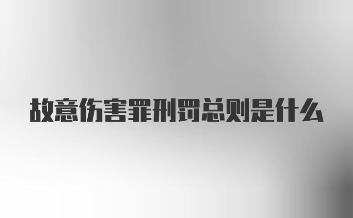 故意伤害罪刑罚总则是什么