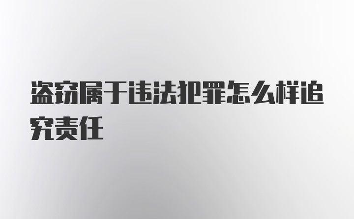 盗窃属于违法犯罪怎么样追究责任