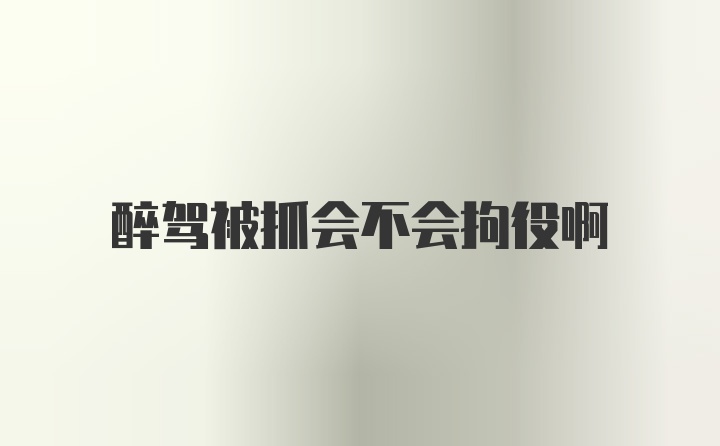 醉驾被抓会不会拘役啊