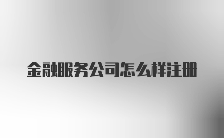 金融服务公司怎么样注册