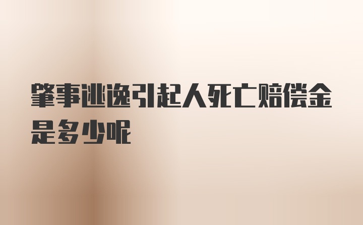 肇事逃逸引起人死亡赔偿金是多少呢