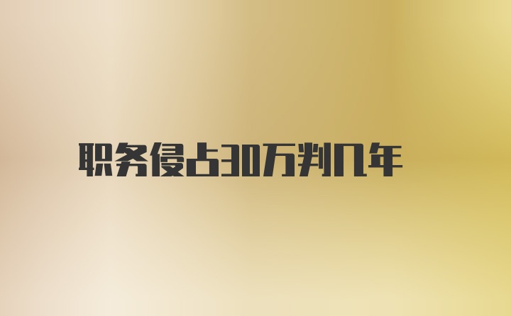 职务侵占30万判几年