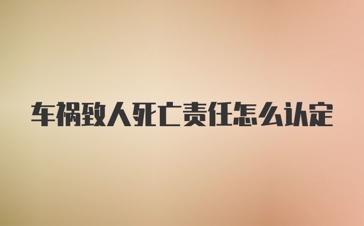 车祸致人死亡责任怎么认定