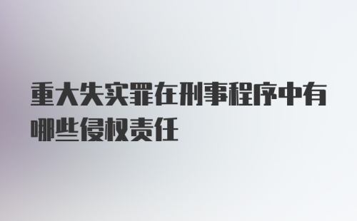 重大失实罪在刑事程序中有哪些侵权责任