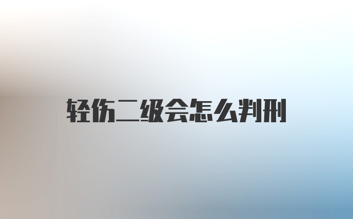 轻伤二级会怎么判刑