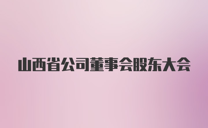 山西省公司董事会股东大会