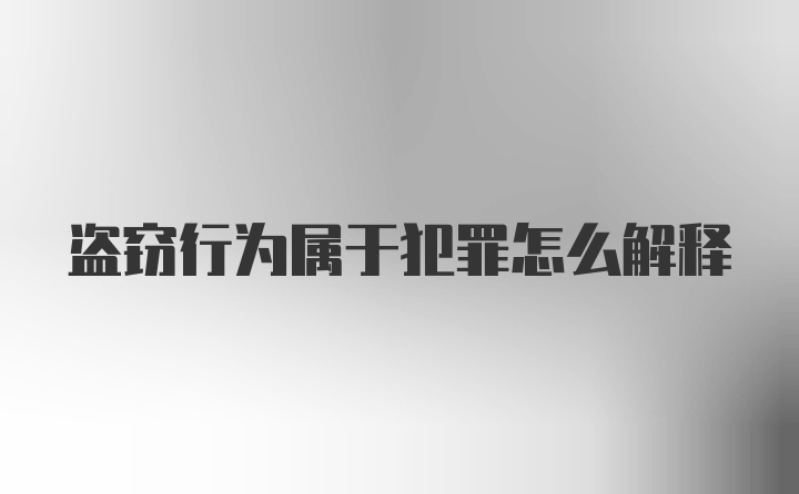 盗窃行为属于犯罪怎么解释