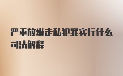 严重放纵走私犯罪实行什么司法解释