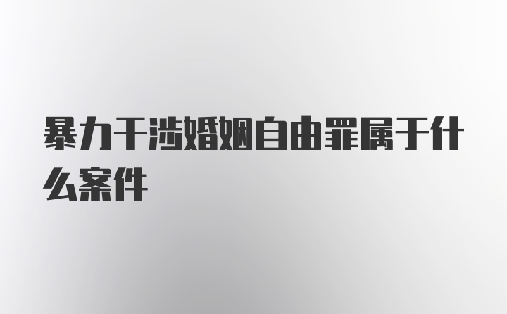 暴力干涉婚姻自由罪属于什么案件