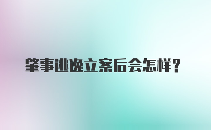 肇事逃逸立案后会怎样？